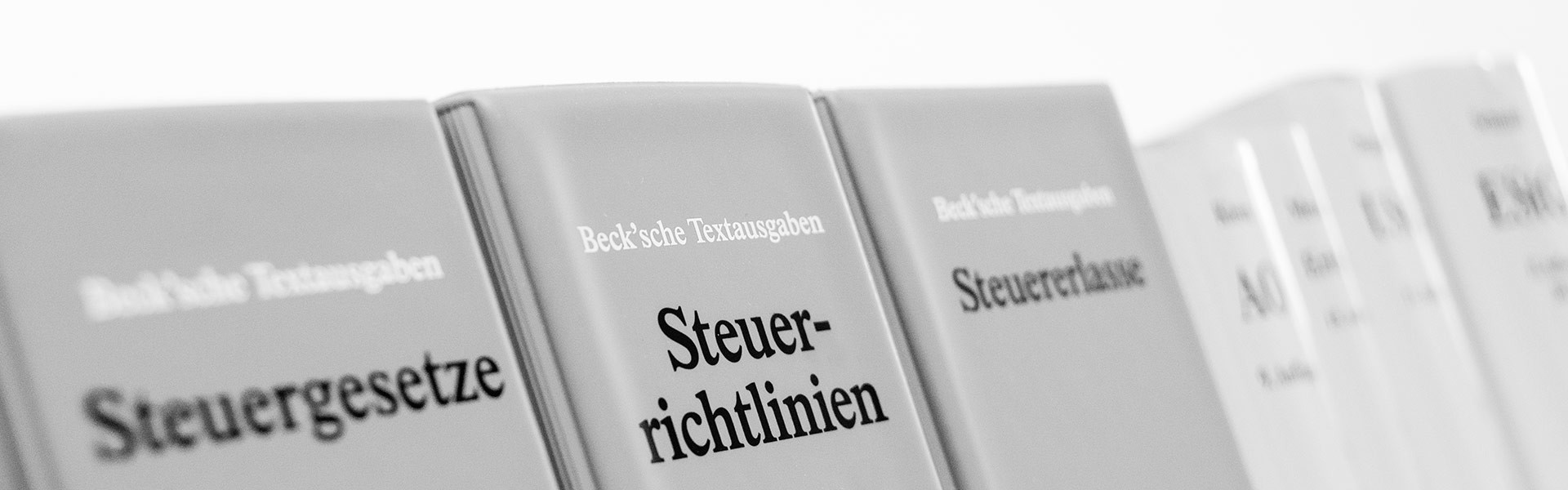 AUGUSTIN & PARTNER mbB Steuerberater Wirtschaftsprüfer